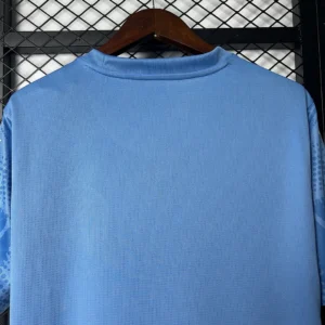 2025/2026 Palmeiras Goalkeeper Jersey