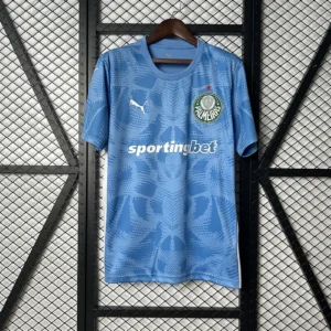 2025/2026 Palmeiras Goalkeeper Jersey