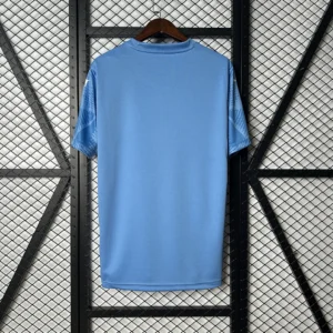 2025/2026 Palmeiras Goalkeeper Jersey
