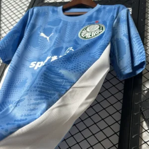 2025/2026 Palmeiras Goalkeeper Jersey