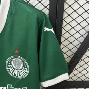 2025/2026 Palmeiras Jersey