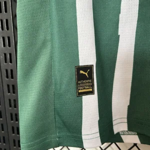 2025/2026 Palmeiras Special Edition Jersey