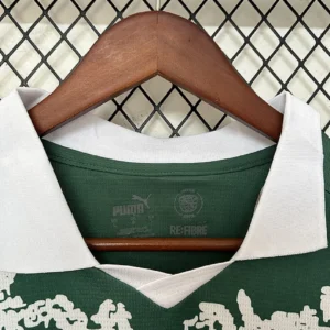 2025/2026 Palmeiras Special Edition Jersey