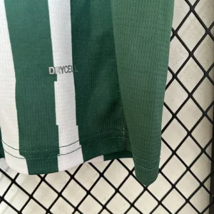 2025/2026 Palmeiras Special Edition Jersey