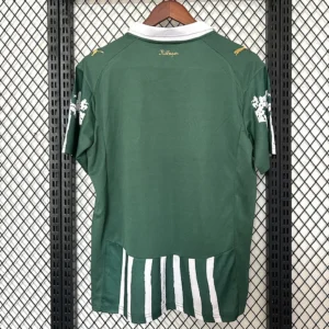 2025/2026 Palmeiras Special Edition Jersey