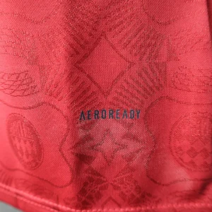 2025/2026 Player FC Bayern Munich 125th Anniversary Red Jersey