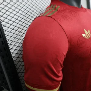 2025/2026 Player Bayern Munich 125th Anniversary Jersey