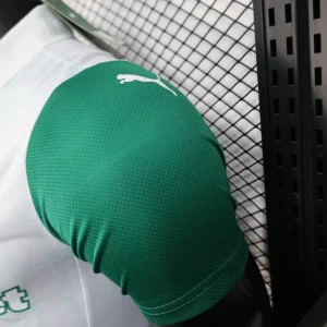2025/2026 Player Palmeiras all sponsors Jersey