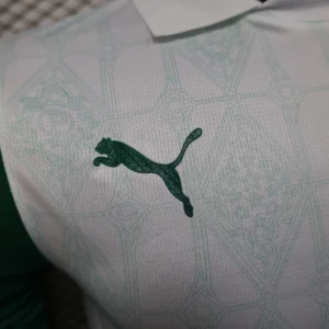 2025/2026 Player Palmeiras all sponsors Jersey