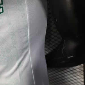 2025/2026 Player Palmeiras all sponsors Jersey