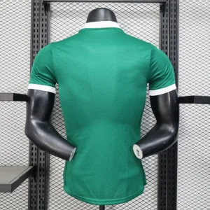 2025/2026 Player Palmeiras all sponsors Jersey