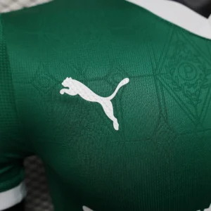 2025/2026 Player Palmeiras all sponsors Jersey