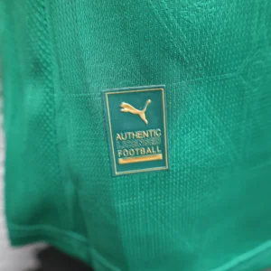 2025/2026 Player Palmeiras all sponsors Jersey