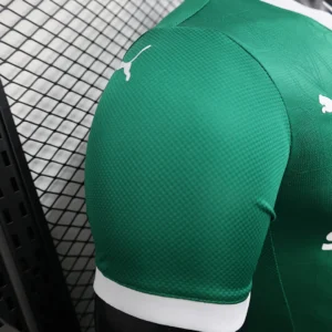 2025/2026 Player Palmeiras all sponsors Jersey