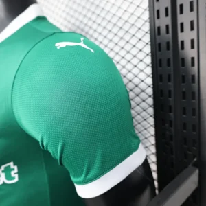 2025/2026 Player Palmeiras all sponsors Jersey