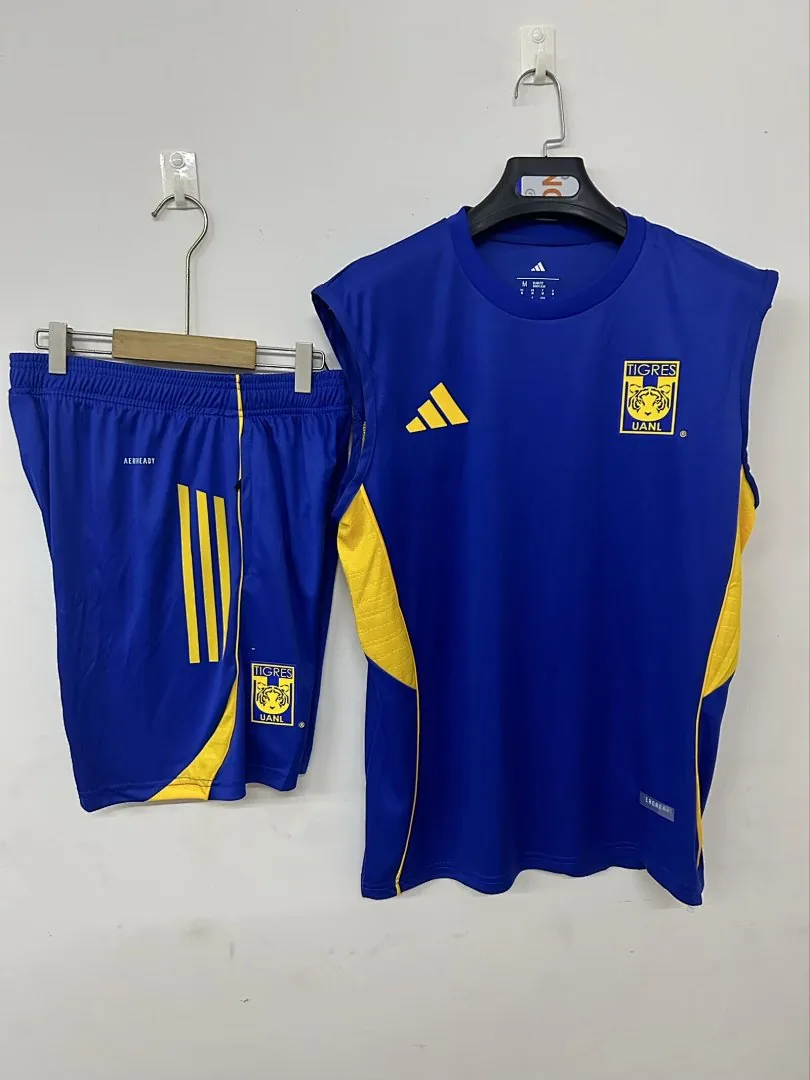 2025/2026 Tiger Training Jersey Blue