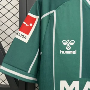 2025/2026 Werder Bremen Home Jersey