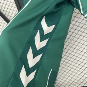 2025/2026 Werder Bremen Home Jersey