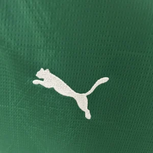 2025/2026 Women Palmeiras Jersey