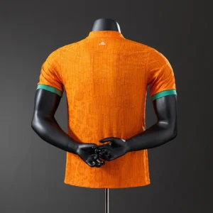 Ivory Coast 2025 Home Player Version Jersey