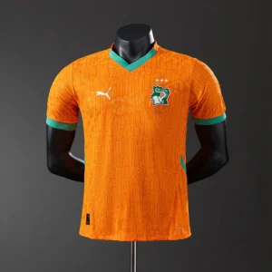 Ivory Coast 2025 Home Player Version Jersey