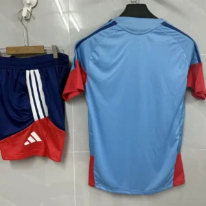 Japan Jersey