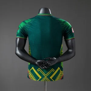 Mali 2025/2026 Jersey