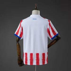Paraguay 2026 Jersey