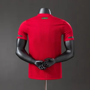 Portugal 2010 Retro Jersey