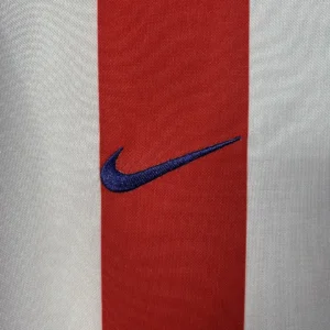 Retro 2002/2003 Atletico Madrid Home Jersey