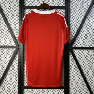 Retro 2002/2003Benfica Home Jersey