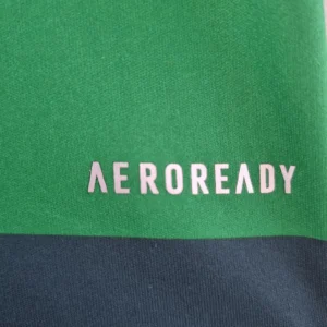 Retro 2010/2011 Palmeiras Home Jersey