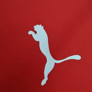 Retro 2014 Chile Home Jersey