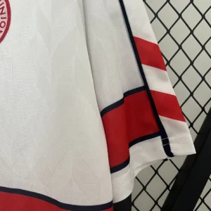 Retro Denmark 1988 Jersey
