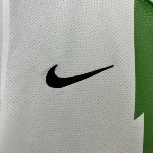 Retro Juventus 2010/2011 Away Jersey