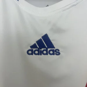Retro Lyon 2010/2011 Home Jersey