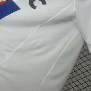 Retro Lyon 2010/2011 Home Jersey