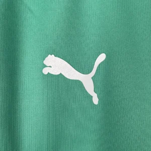 Retro Palmeiras 2019/2020 Third Jersey