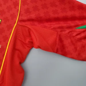 Retro Portugal 2004 Jersey