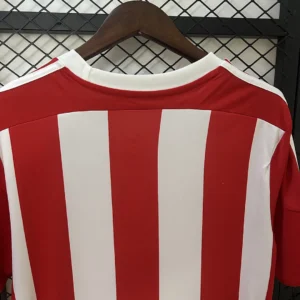 Retro Southampton 2015/2016 Home Jersey