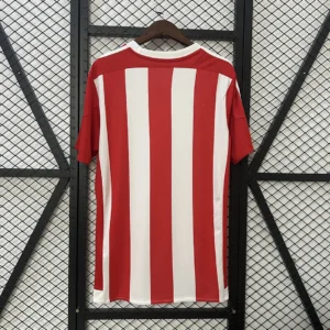 Retro Southampton 2015/2016 Home Jersey