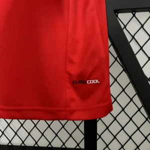 Retro Spain 2010 Jersey