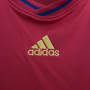 Retro Spain 2010 Jersey