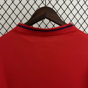 Retro Spain 2010 Jersey