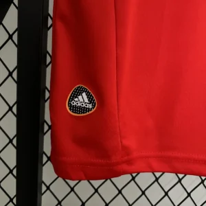 Retro Spain 2010 Jersey
