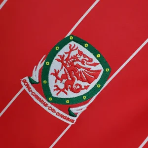 Retro Wales 2015/2016 Home Jersey