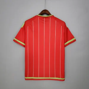 Retro Wales 2015/2016 Home Jersey