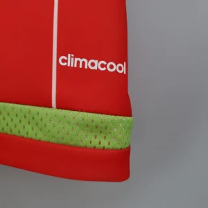 Retro Wales 2015/2016 Home Jersey