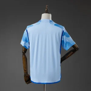 Spain 2022 Retro Jersey